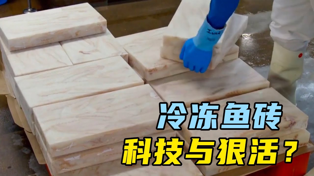 参观英国炸鱼工厂，100%纯鱼肉，标准全球统一！