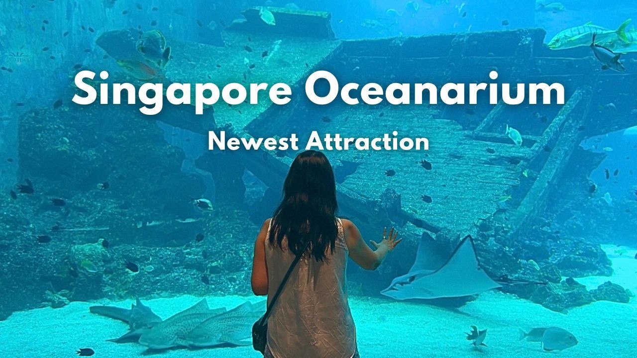Singapore Oceanarium, newest attraction in Singapore, Resort World Sentosa, Opening Day Tour Vlog