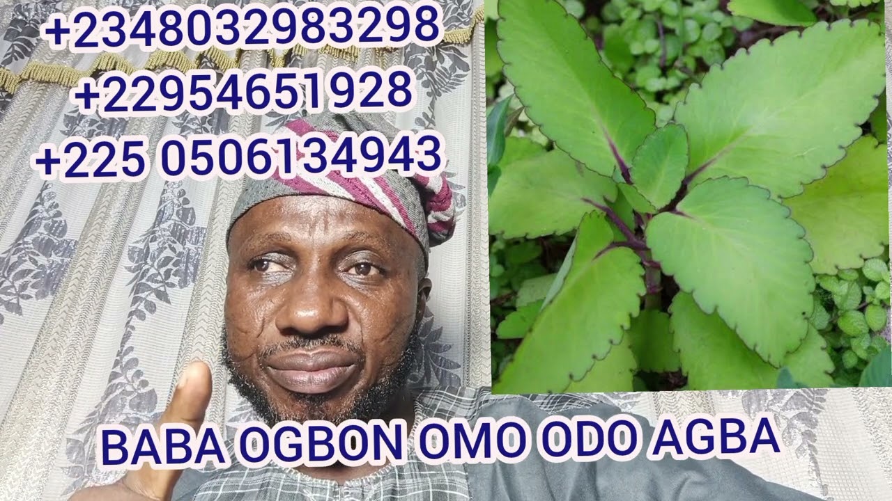 ÌWULO EWE ABAMODA FÚN ASINA OLA TODAJU, +2348032983298, +22954651928, +225 0506134943