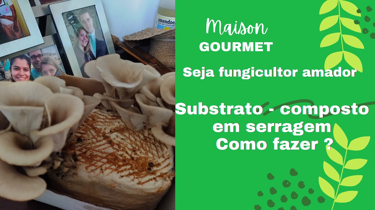 Substrato -  composto de serragem de madeira e farelo de trigo