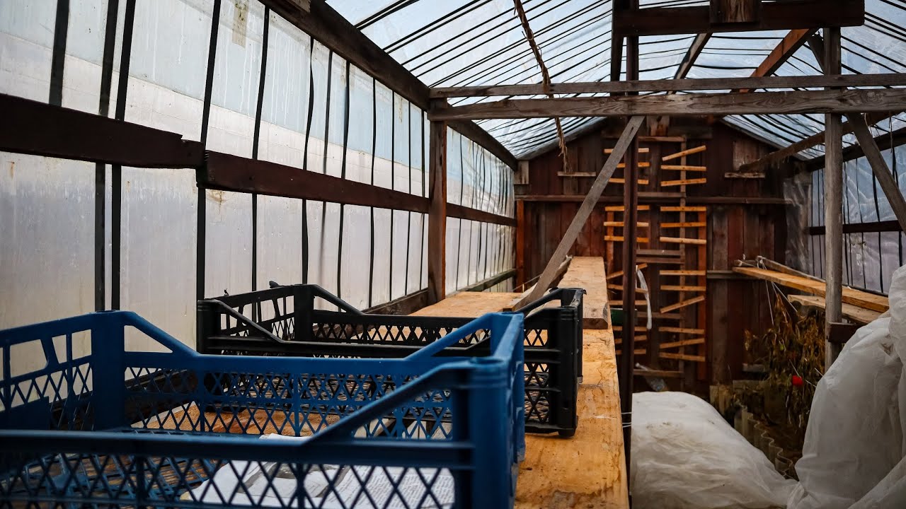 Чому я з Відкритого Вирощування не почав Вкладати Гроші в Теплиці?