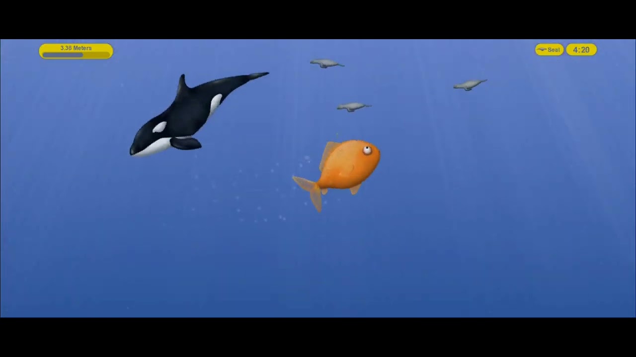 Hungry fish Story #fishing #fishvideosaquarium #gamer #fishingvideo 