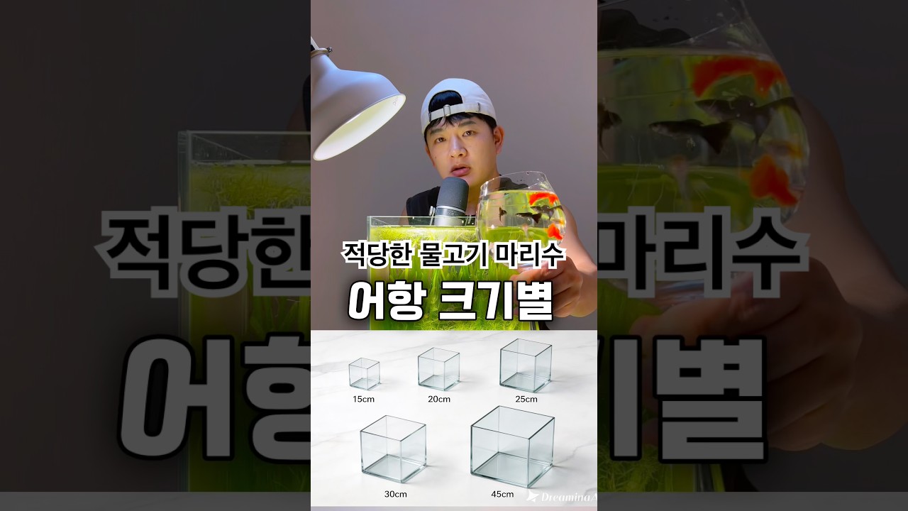 어항 크기별 물고기 마리수 추천