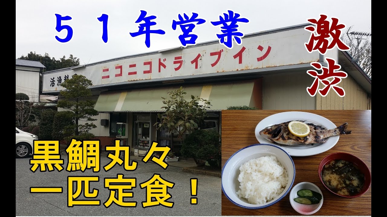 51年営業の激渋！ニコニコドライブイン！黒鯛丸々一匹の焼魚定食をいただく！2019年2～5月関東レトロ自販機＆昭和ドライブイン＆リサイクルショップ巡りの旅②【千葉県富津編】