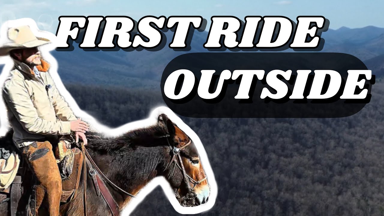 First TRAIL ride on a GREEN BROKE MULE | HOW DID IT GO? 