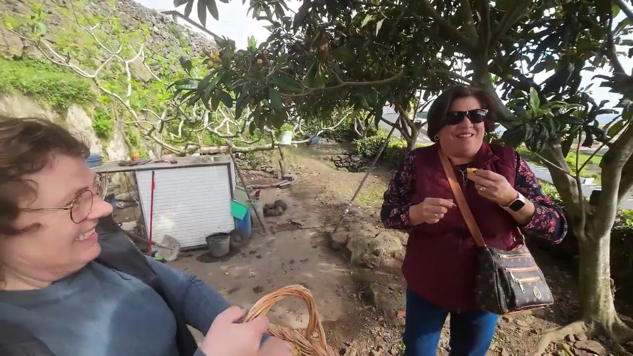 Fomos às Nêsperas