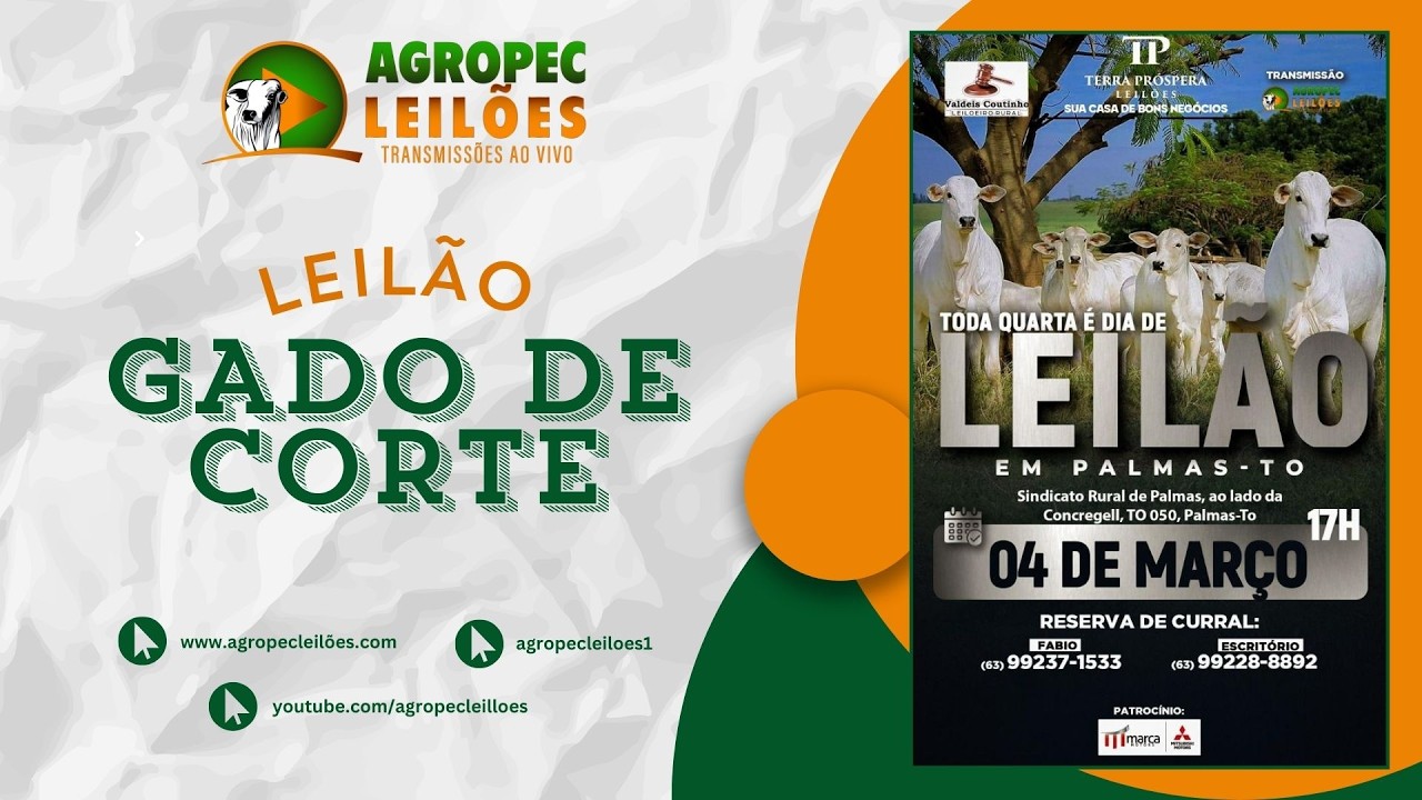 Agropecleiloes.com LEILÃO ESPECIAL GADO DE CORTE | TERRA PRÓSPERA LEILÕES - PALMAS- TO | 04/03/2026