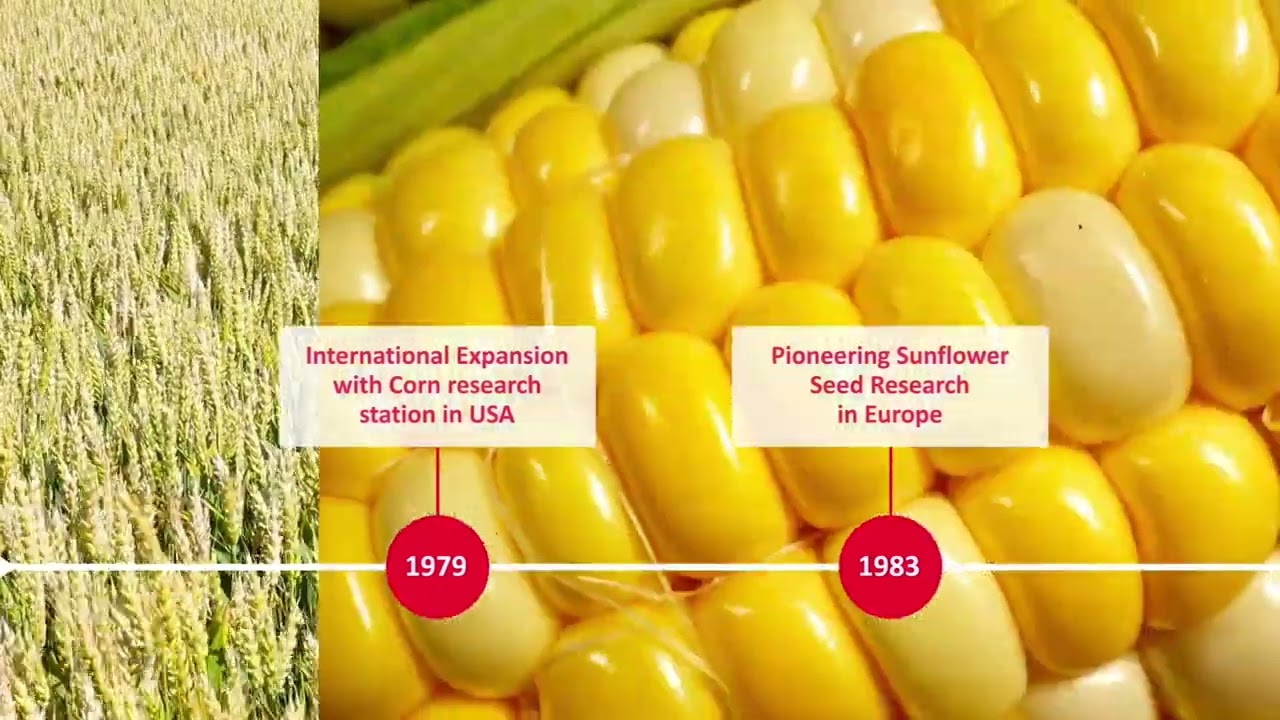 60 ANNIVERSARIO - Limagrain Field Seeds