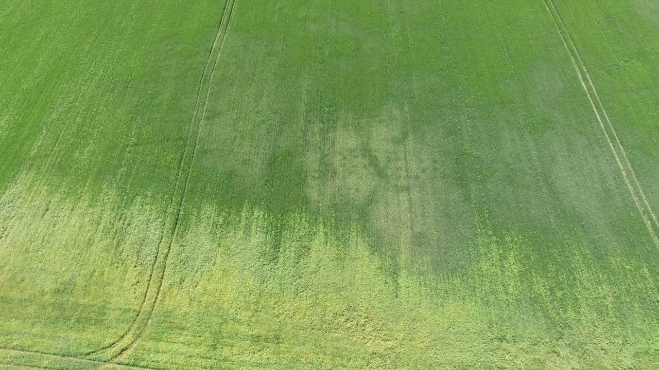 Flotte huse fra den yngre jernalder.