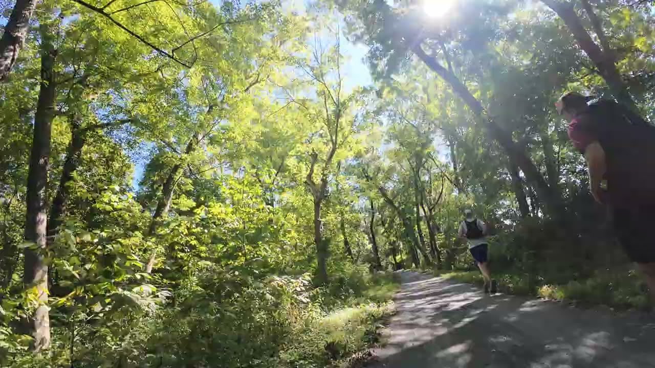 morning on maryland's c&o canal towpath, early september
