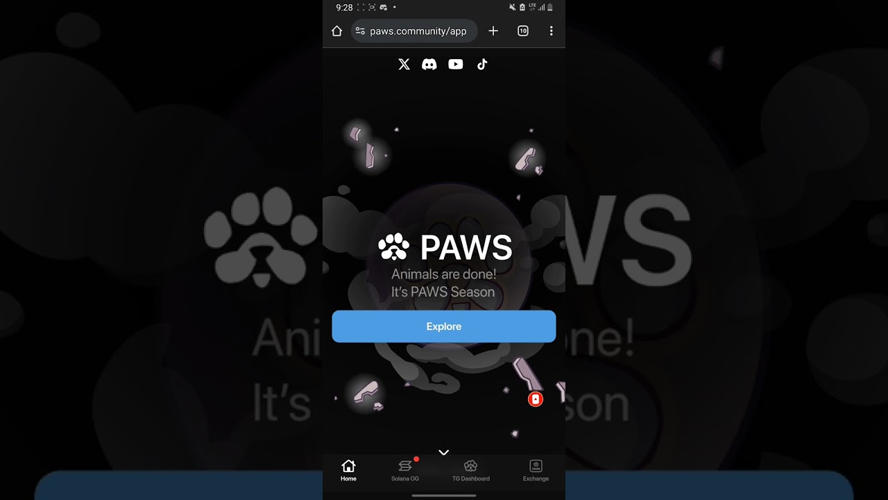PAWS LISTING UPDATE: Paws Listing on Binance? Let's find out |  is Listing on 16th April?