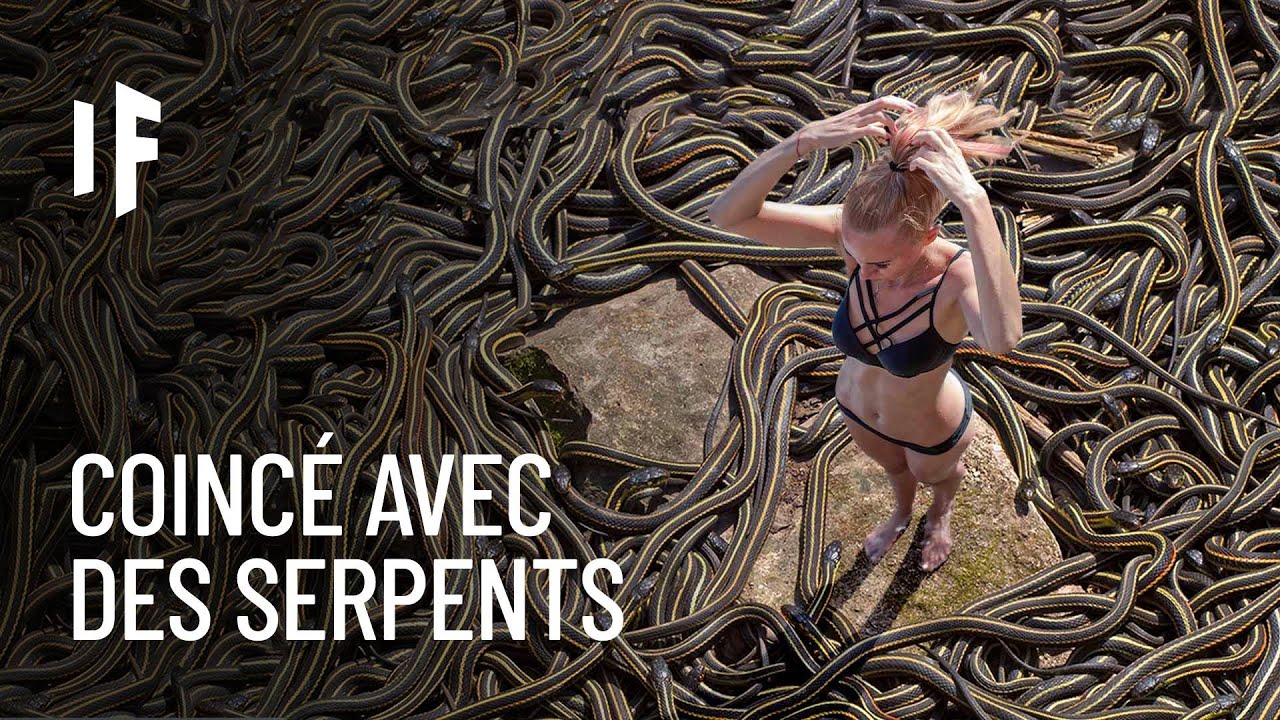 Et si on passait un mois sur l'Île aux serpents ?