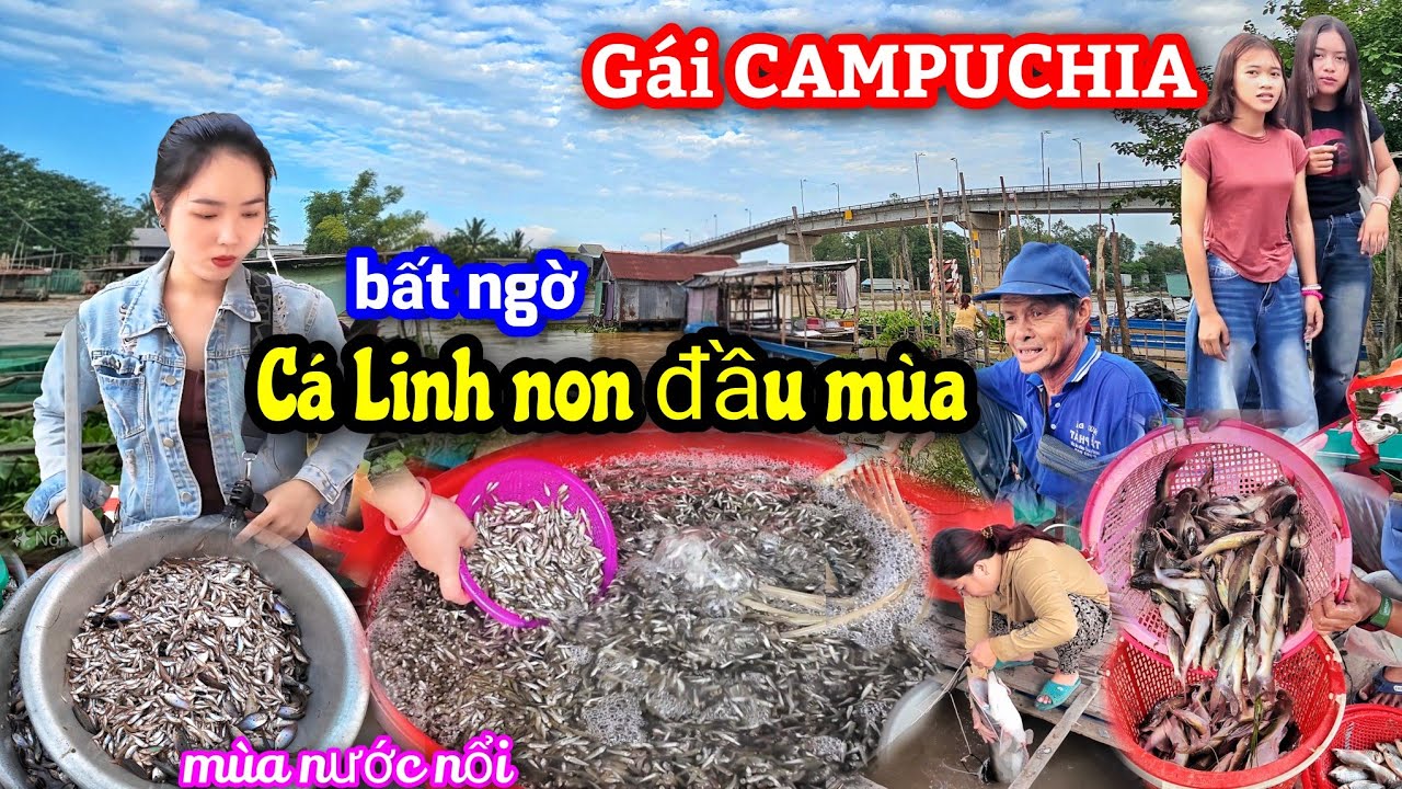 Bất ngờ cá Linh đầu mùa xuất hiện - Chợ miền Tây sông nước đón mùa nước nổi 2025.