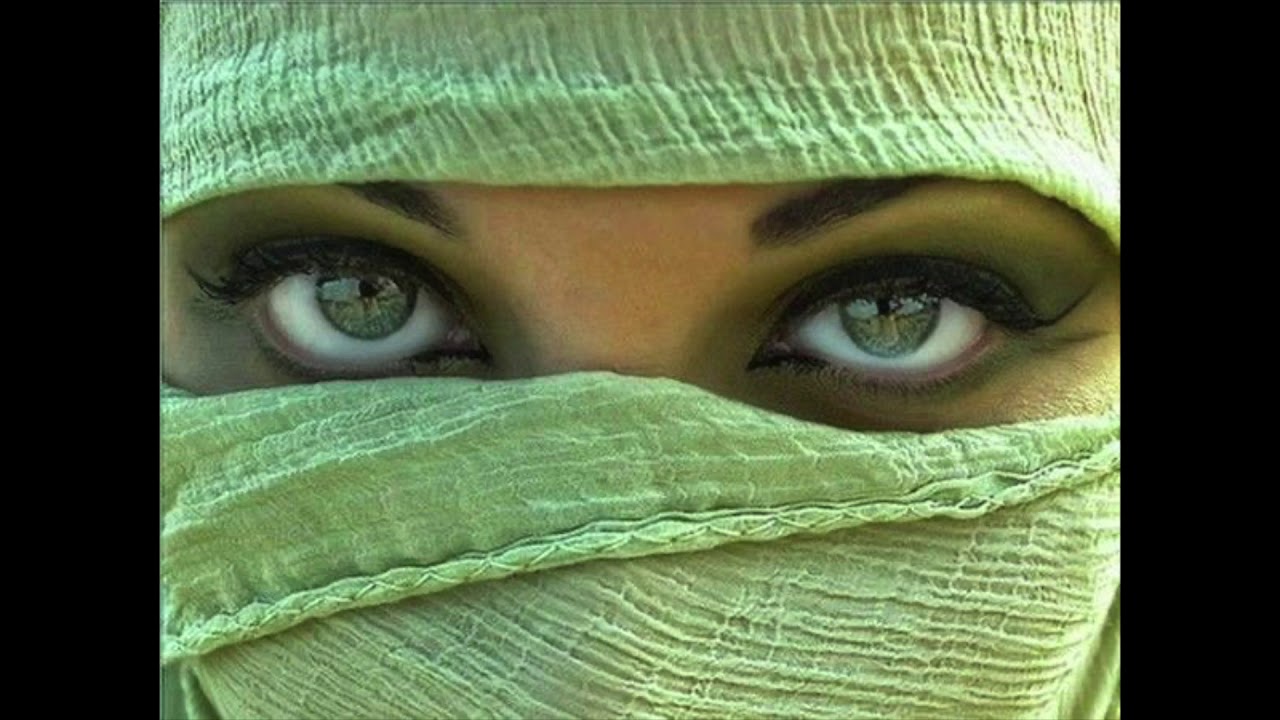 Clément Janequin - O doulx regard