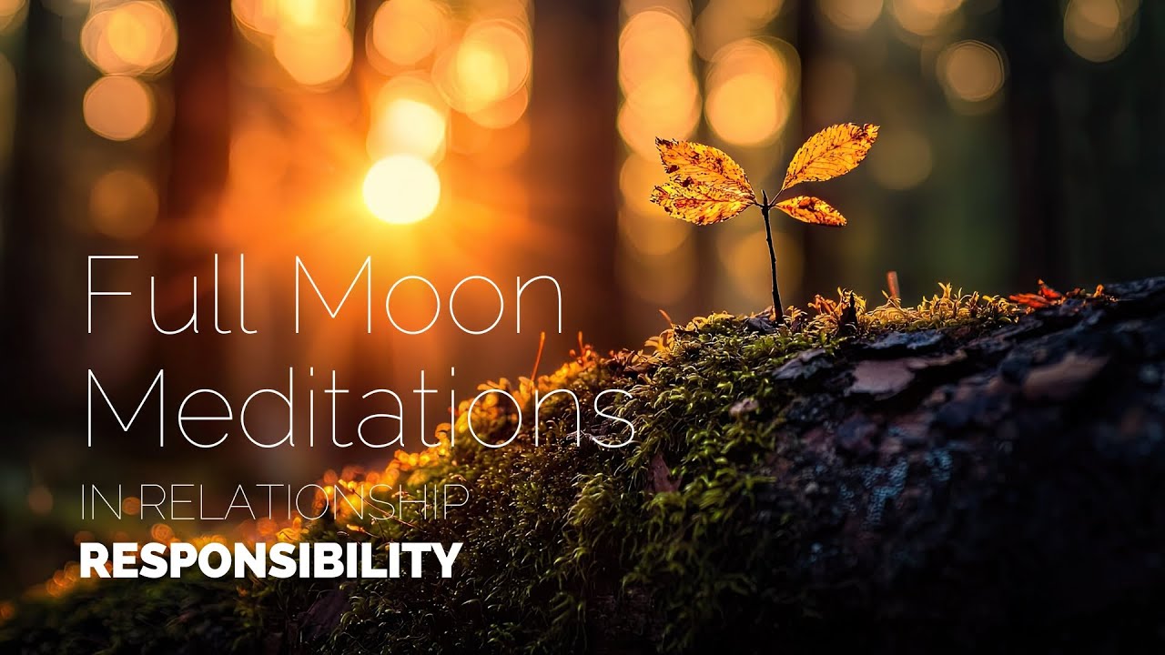 December Full Moon Meditation: Responsibility | In Relationship with TreeSisters