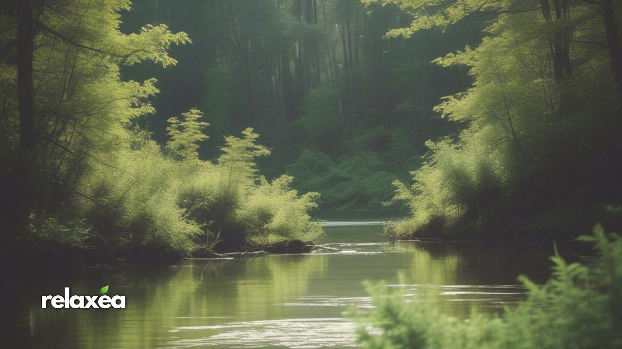 Echoes of the Earth