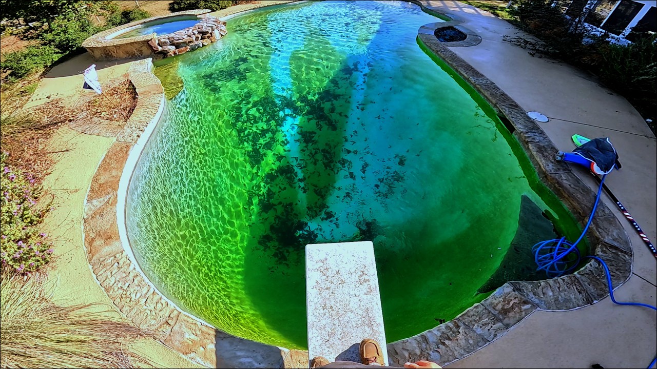 Disgusting Green Pool Transformation! POV ASMR Pool Cleaning Sounds