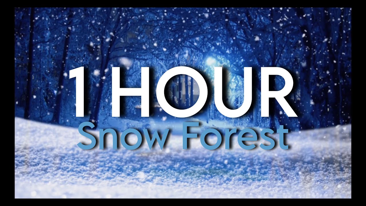 ❄️ 1 Hour of Snow Forest Ambience 🌨️ | Peaceful Winter Nature Sounds for Sleep & Relaxation 🌙