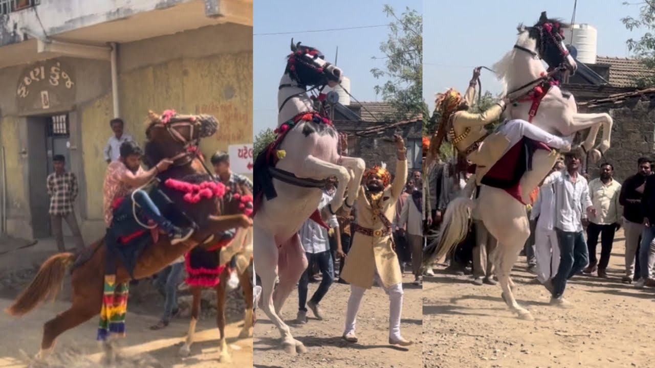 કાઠી દરબાર નું ફુલેકું 🥰