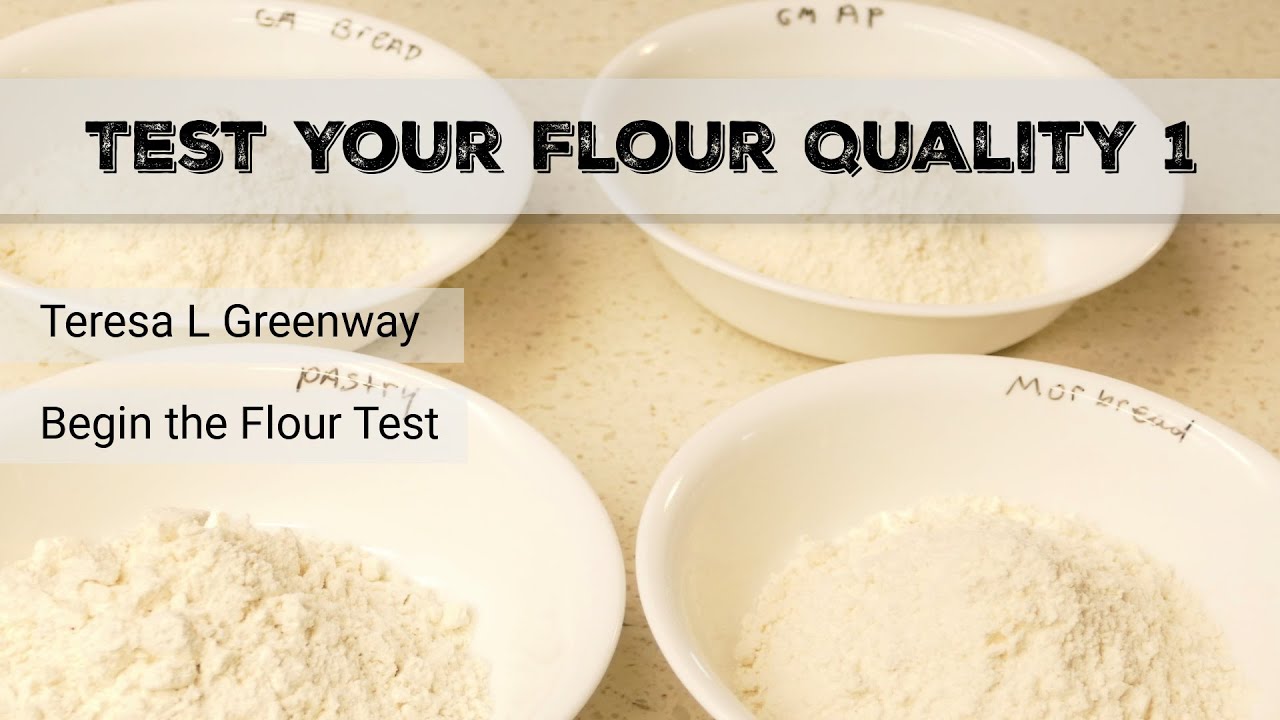 Sourdough Exploration - Test Your Flour 1