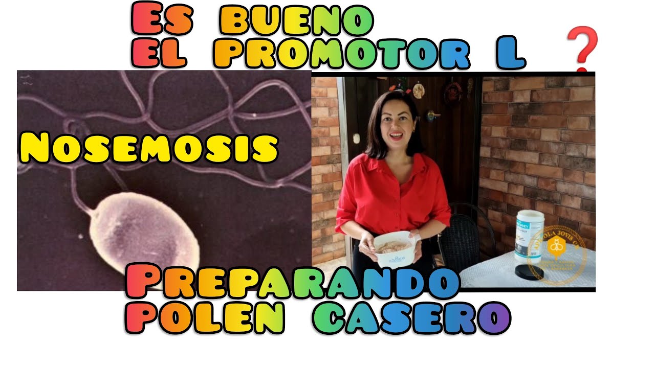 Nosemosis en las abejas, preparando polen