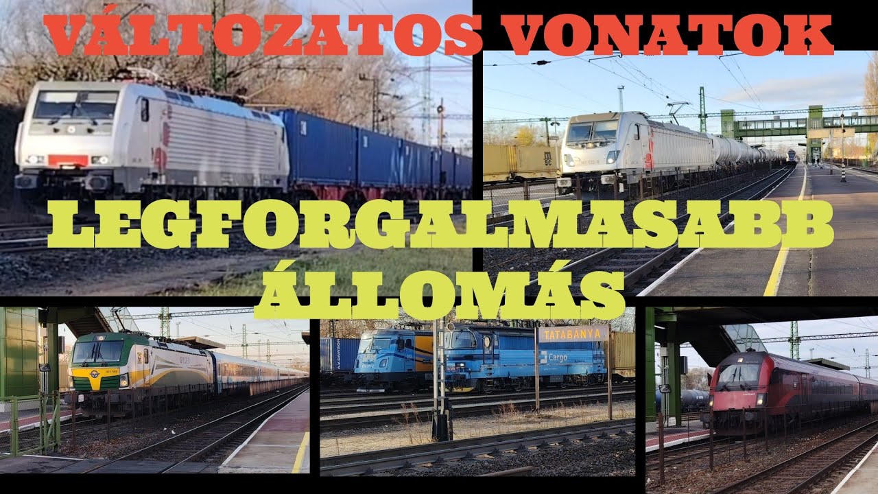 VÁLTOZATOS ÉS NAGYON FORGALMAS TATABÁNYA MÁTYUS KATIVAL