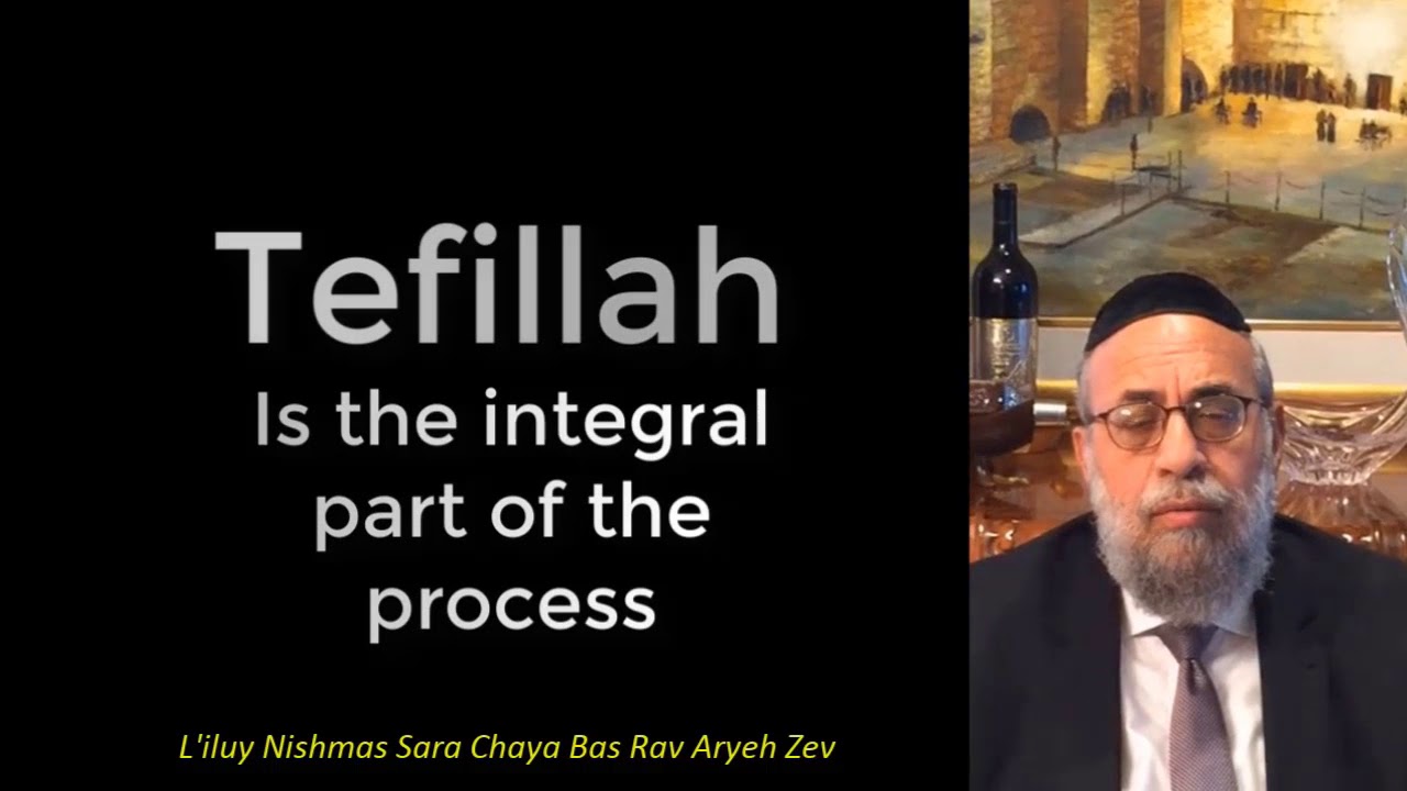 Tehillim Together partner with Rav Aryeh Zev Ginzberg founder of Ohel Sarala