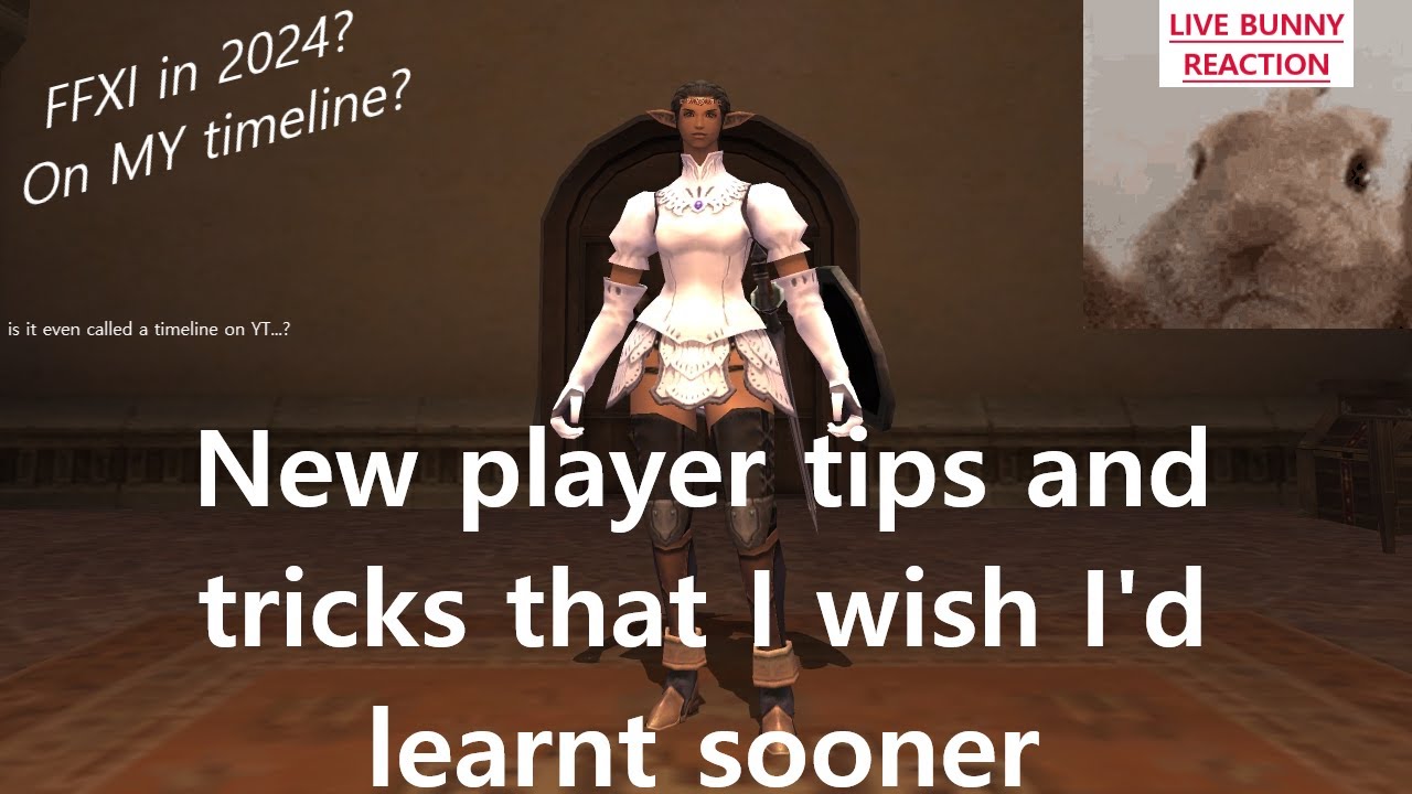 FFXI Tips for not-so-new-players-anymore