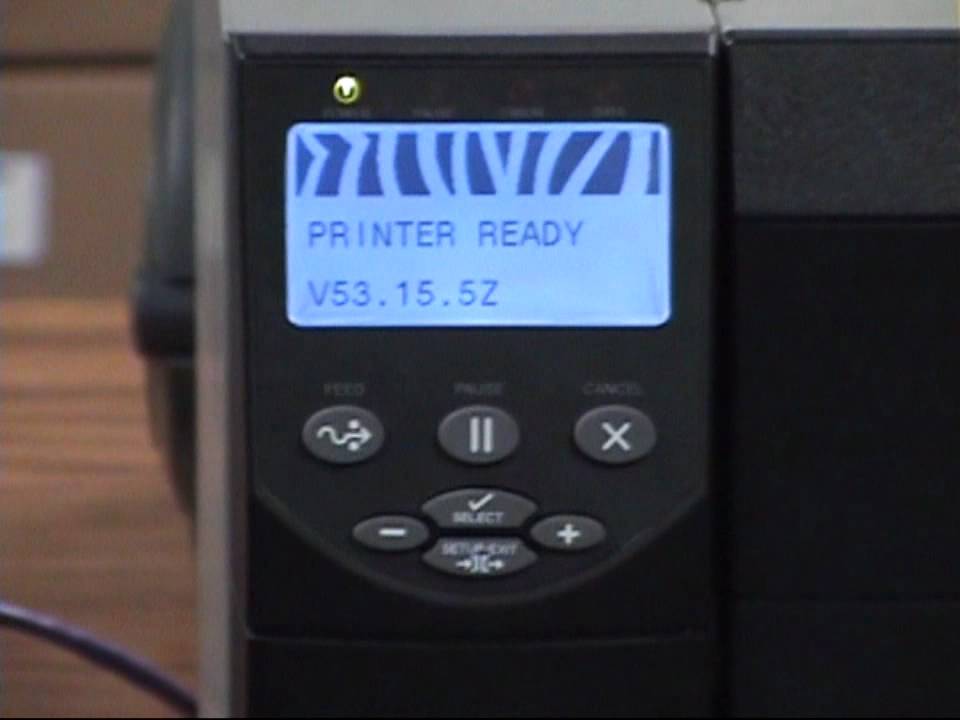 Zebra Printer - Pause Test