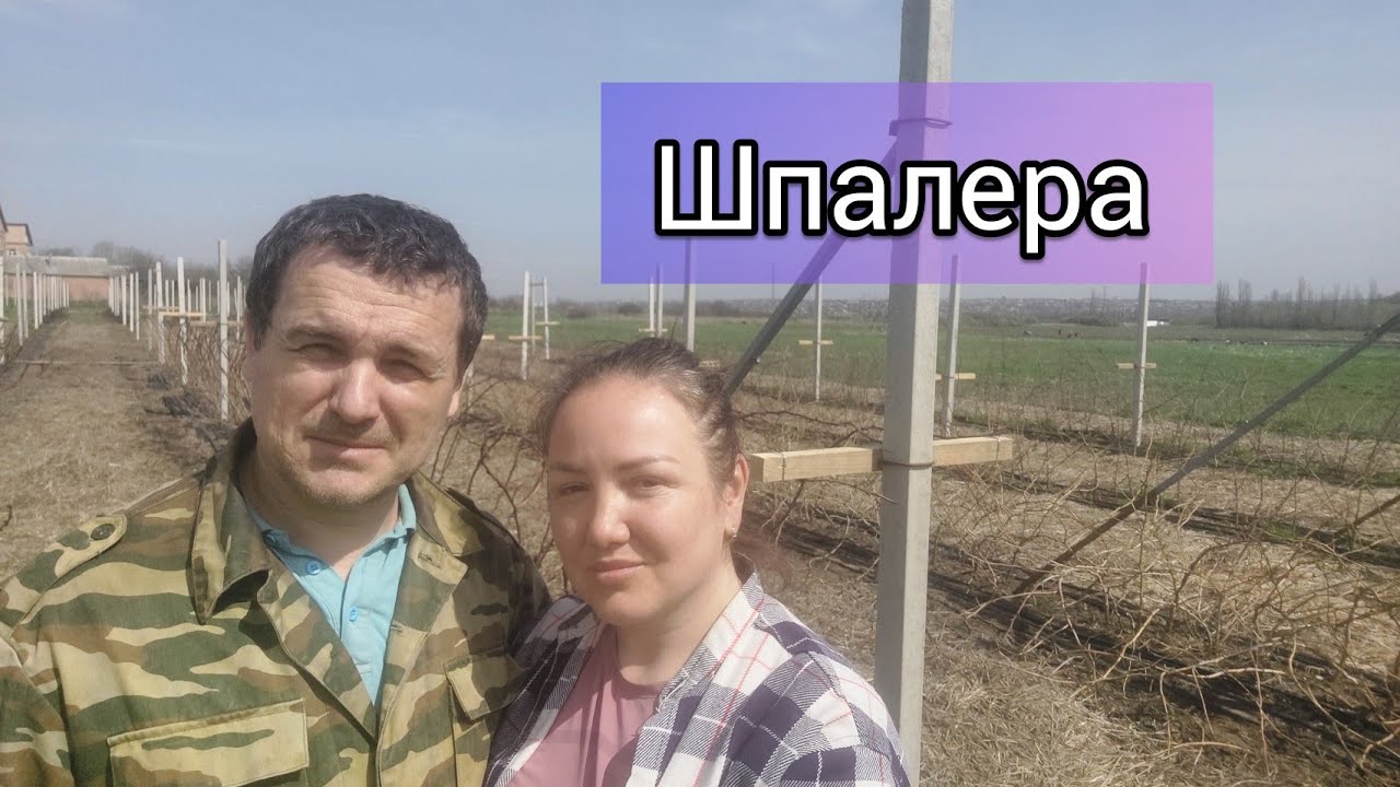Как сделать шпалеру для летней малины на БЕТОННЫХ СТОЛБАХ