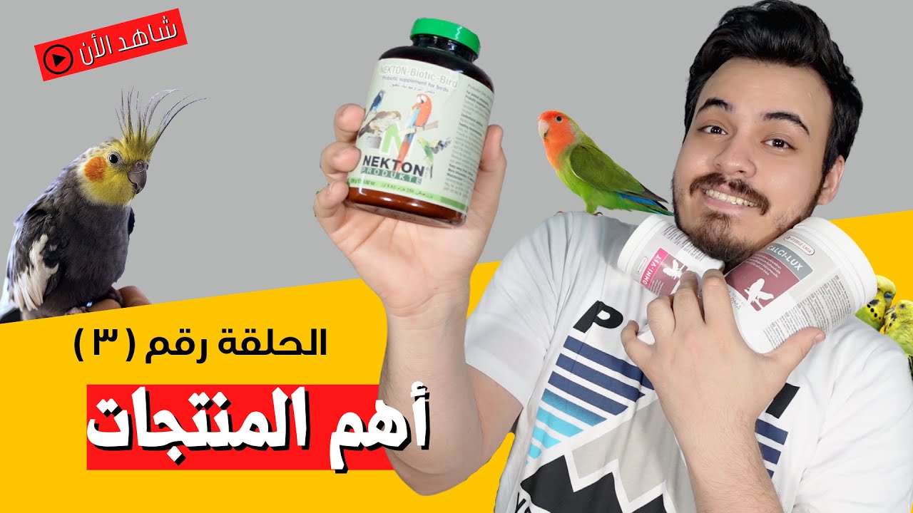 أنتج صح #3 | أيش استخدم منتجات عشان انتج من طيوري