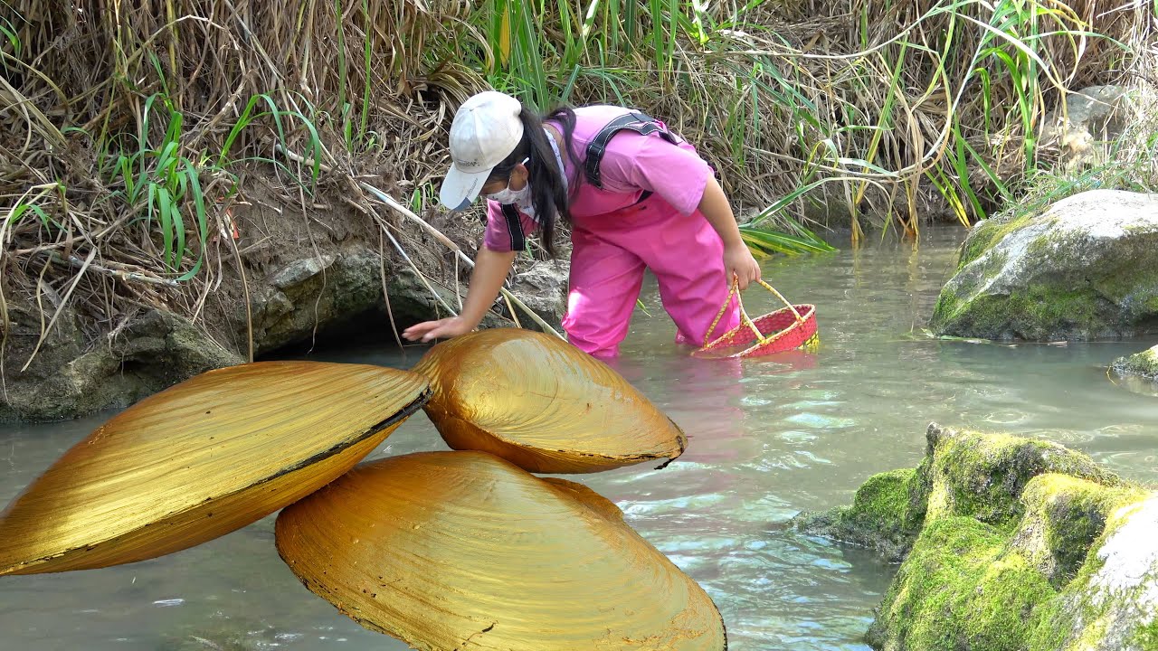 🥰Unexpected Treasure: The girl discovered many giant clams while searching for treasure by the river