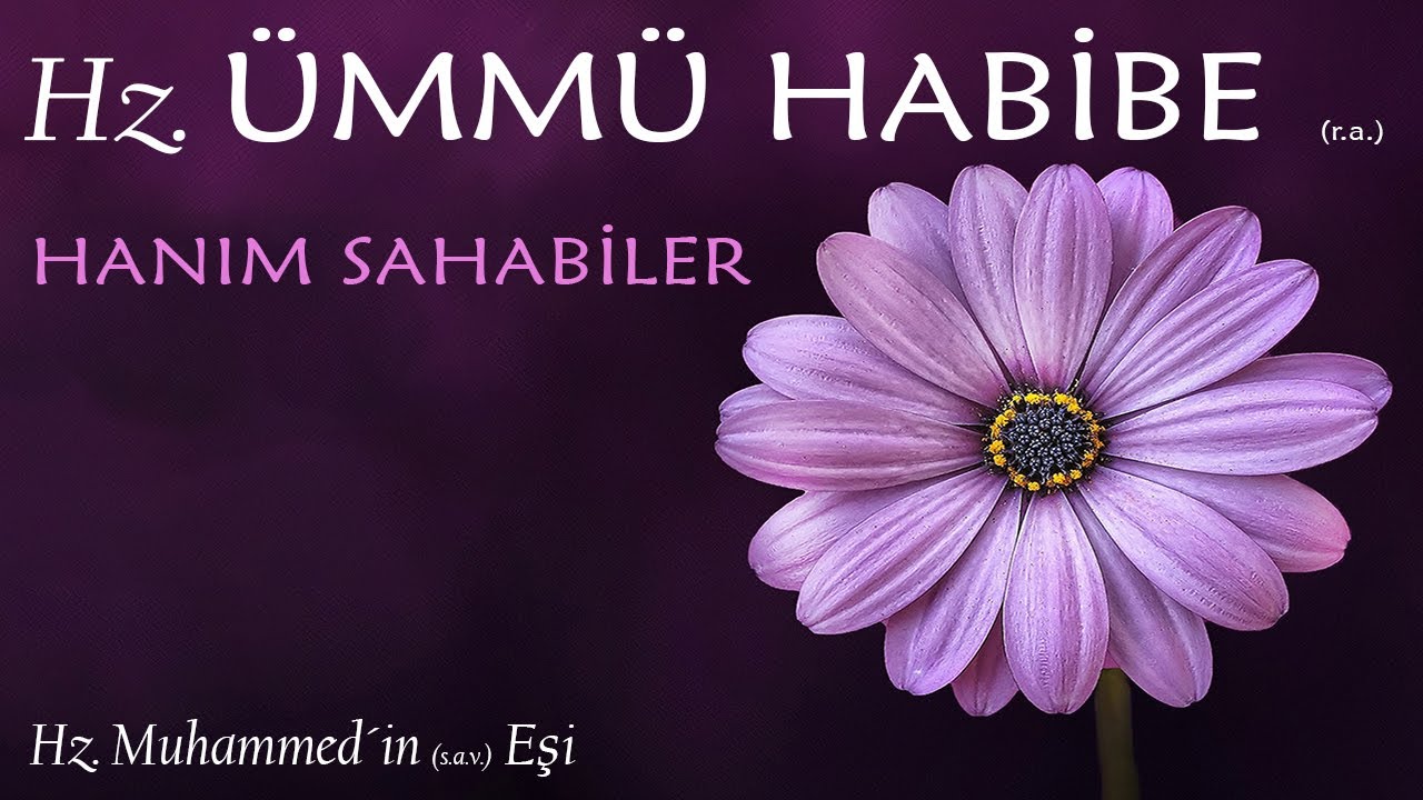60-Hz. Ümmü Habibe´nin (r.anhâ) Hayatı | Hanım Sahabiler