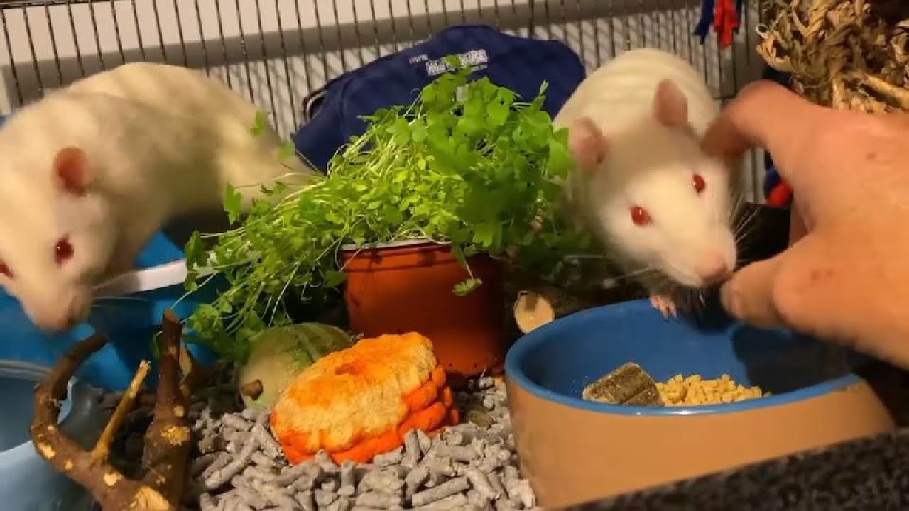 Happy Together