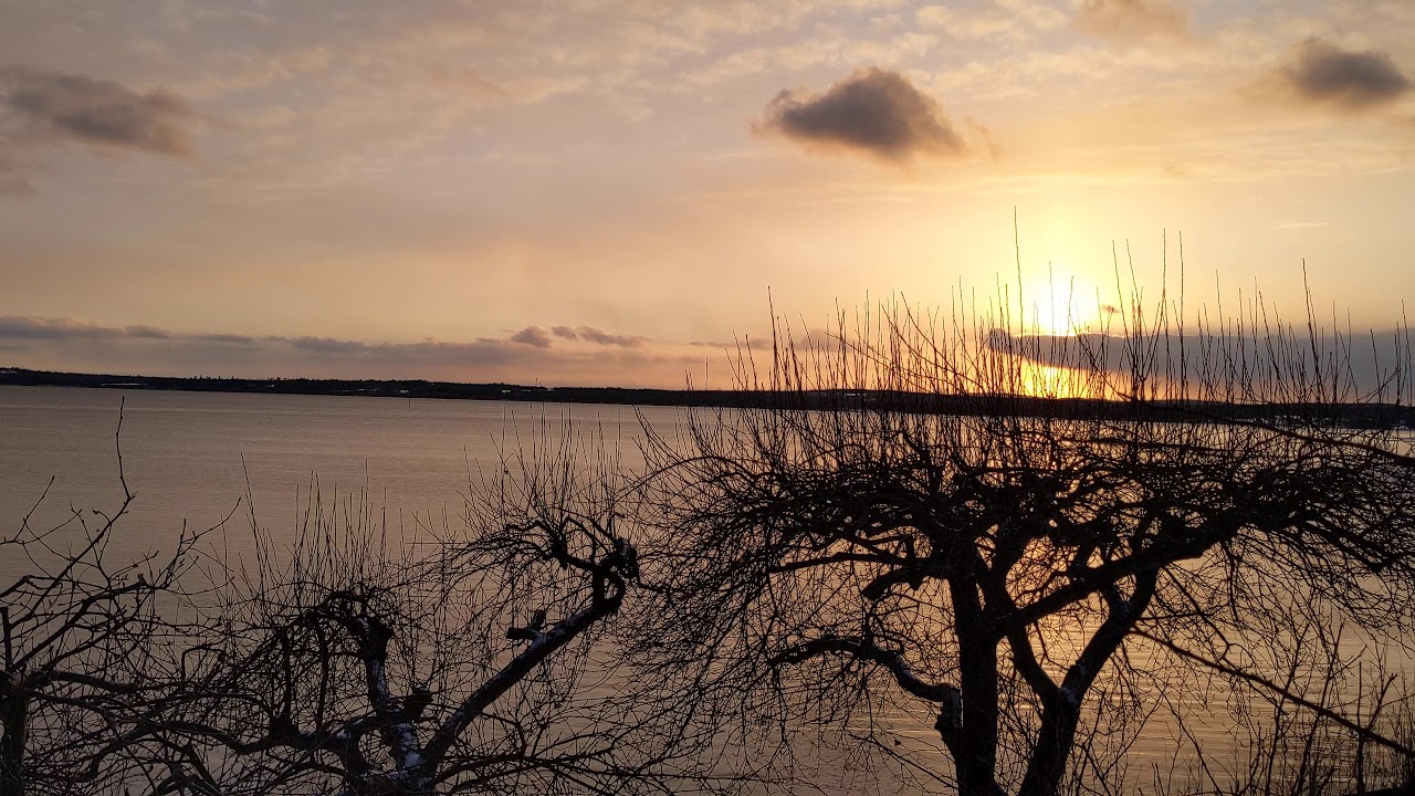 Setting sun in St. Andrews, NB. Sun Dog and zooming Buffleheads