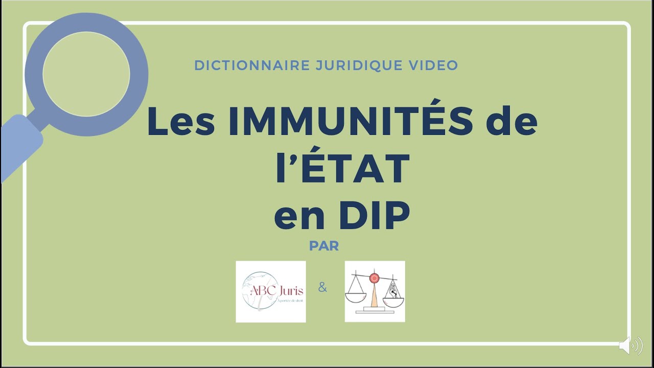IMMUNITÉ de l'ÉTAT en droit international public 🔤