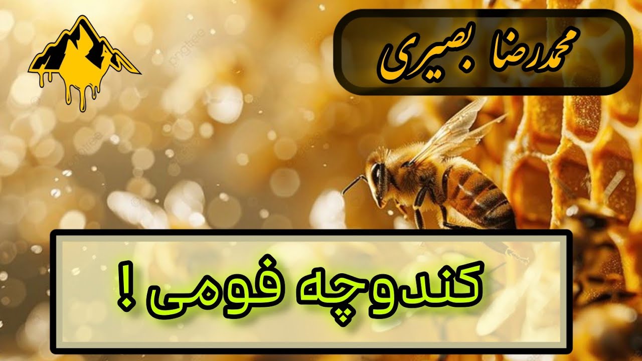 نحوه پر کردن کندوچه فومی ! #bee #زنبورعسل #beefeater 