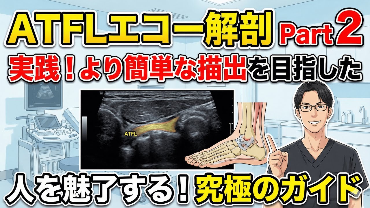 実践！より簡単な描出を目指したATFLのエコー解剖part2