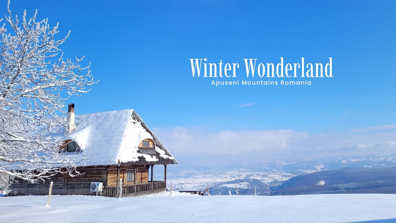 Winter Wonderland in Apuseni, Romania