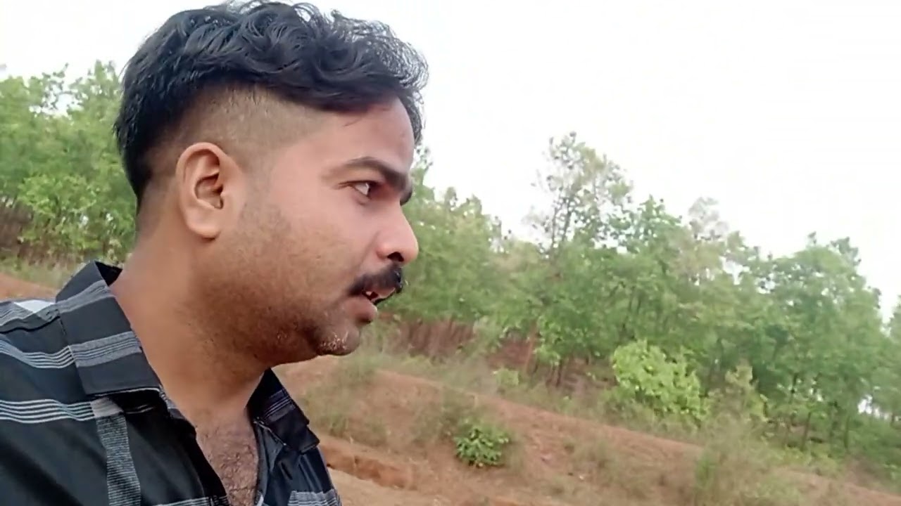 Morning walk 