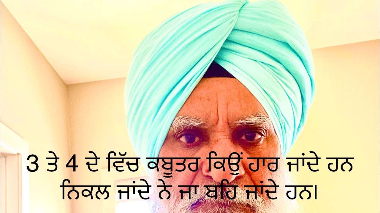 3 ਤੋਂ 4 ਵਜੇ ਬਾਜ਼ੀ ਛੱਡੇ ਕਬੂਤਰ ਕਿਉਂ ਬੈਠ ਜਾਂਦੇ ਹਨ ਕਾਰਨ ।