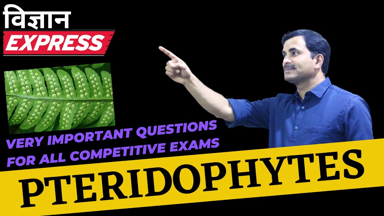 Important Questions on Pteridophytes | Vigyan Express #23 | DR. N.S. JAIN