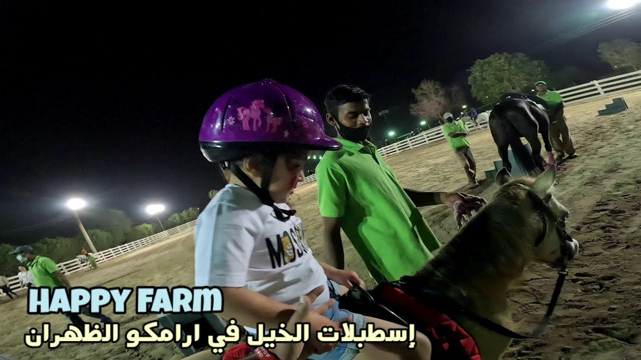 إسطبلات الخيل في ارامكو الظهران | نزهة مسائية