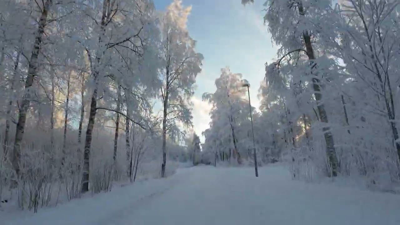 Cycling in Oulu #4