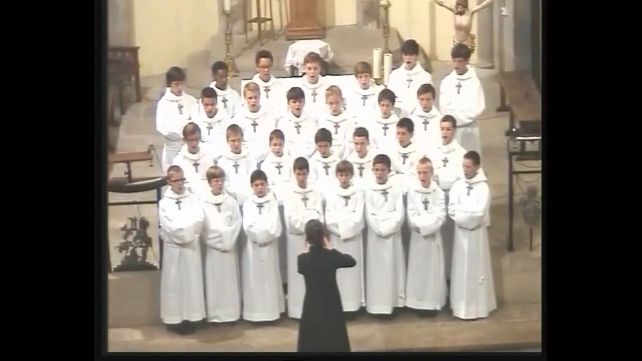 07. 