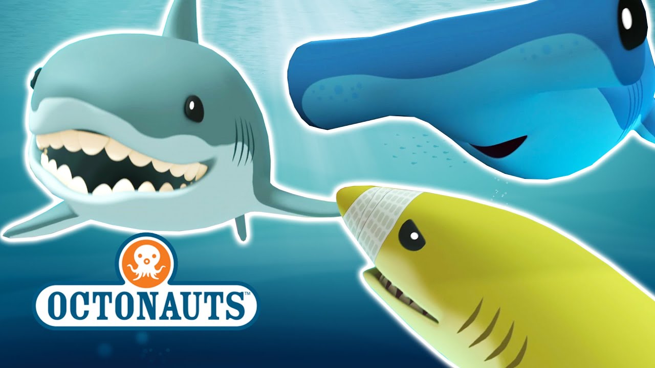 Octonauts - Who Loves Sharks?