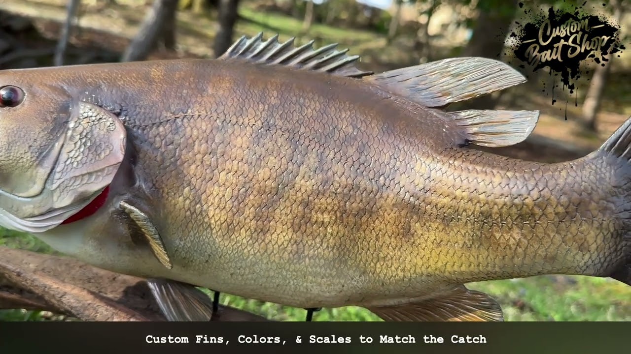 4.5lb Smallmouth Bass Replica - Custom Bait Shop