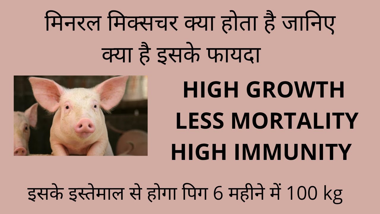 9319037188, Benefits of Good Mineral Mixture , एक अच्छे मिनरल मिक्सचर के फायदे , Fast Growth