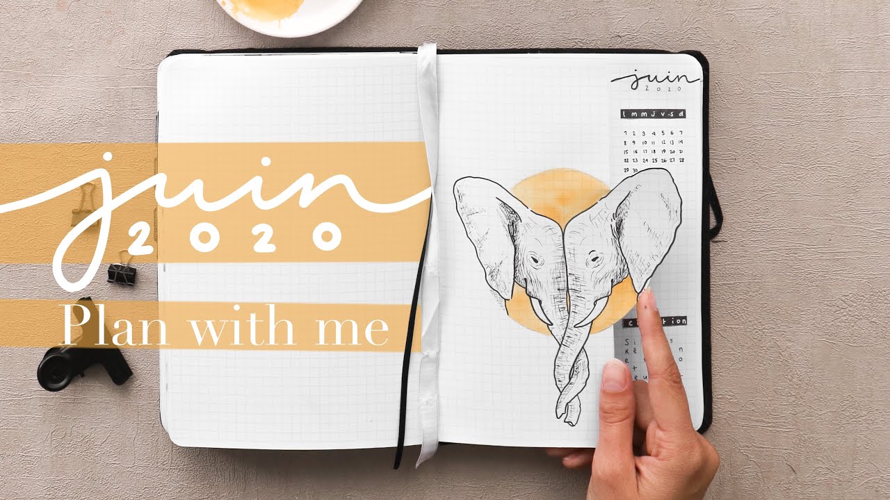 🐘 DES ÉLÉPHANTS dans MON BULLET JOURNAL pour juin 2020