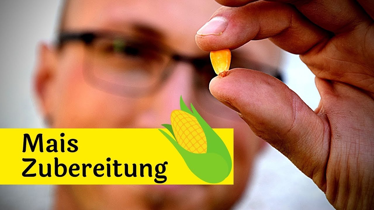 Carp Tales - Mais Zubereitung fürs Karpfenangeln  | how to do